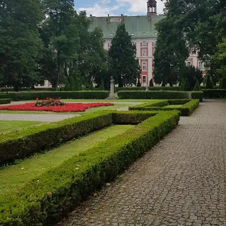 Chopin Park Lux Apartment, Self Check-in 24h, Free Parking, Air-conditioning * ポズナン