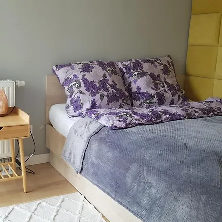 Chopin Park Lux Apartment, Self Check-in 24h, Free Parking, Air-conditioning Poznan