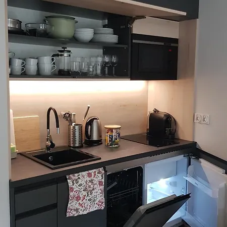 Apartment Chopin Park Lux Apartment, Self Check-in 24h, Free Parking, Air-conditioning Poznan