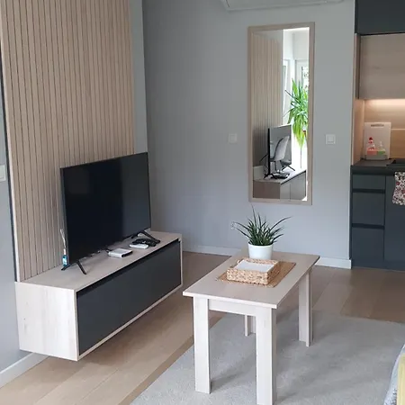 Chopin Park Lux Apartment, Self Check-in 24h, Free Parking, Air-conditioning * ポズナン