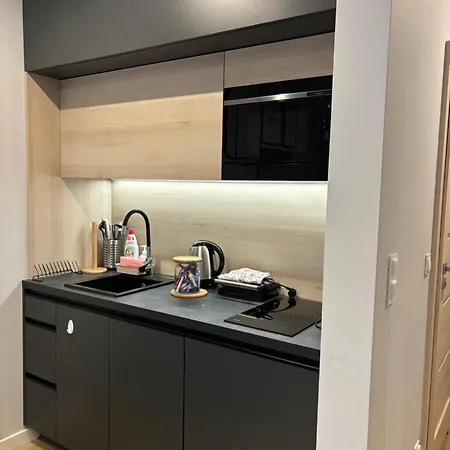 Chopin Park Lux Apartment, Self Check-in 24h, Free Parking, Air-conditioning Poznan