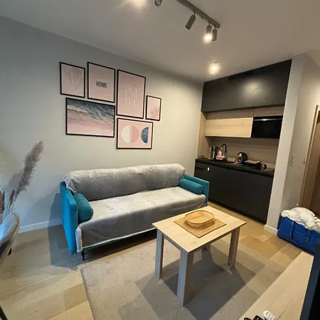 Apartment Chopin Park Lux Apartment, Self Check-in 24h, Free Parking, Air-conditioning Poznan
