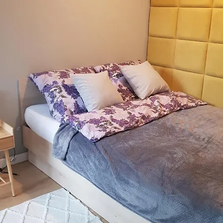 Daire Chopin Park Lux Apartment, Self Check-in 24h, Free Parking, Air-conditioning