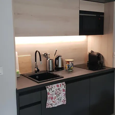 Chopin Park Lux Apartment, Self Check-in 24h, Free Parking, Air-conditioning Apartment Poznan