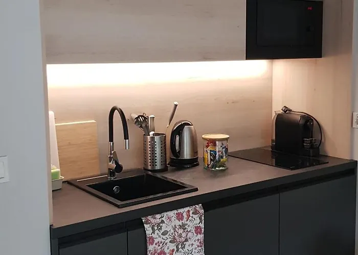 Chopin Park Lux Apartment, Self Check-in 24h, Free Parking, Air-conditioning Apartment Poznan