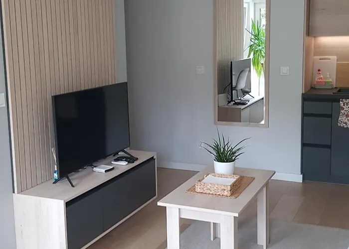 Chopin Park Lux Apartment, Self Check-in 24h, Free Parking, Air-conditioning * Poznań